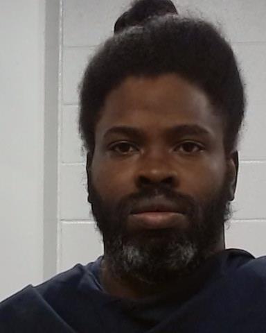 Mugshot of Frederick David, Jr. Palmer