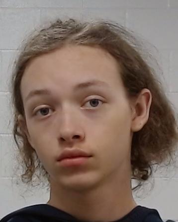 Mugshot of Charles Albert Pierce