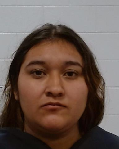 Mugshot of DIANA CASTRO-CASTRO