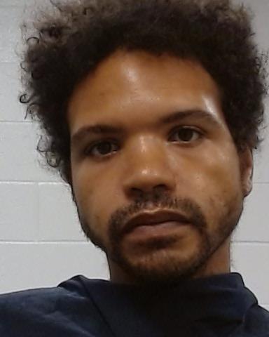 Mugshot of Dausyn James Thomas