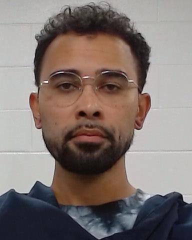 Mugshot of Andrew Lanier Williams