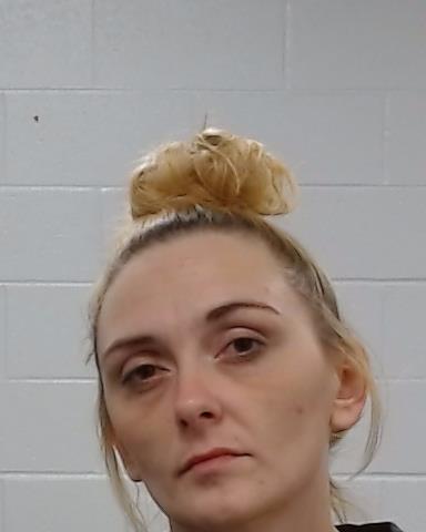 Mugshot of Madison Dawn Brown