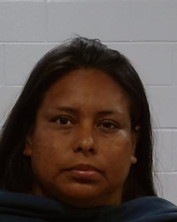 Mugshot of Araceli Ramos