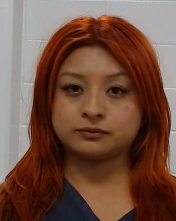 Mugshot of Tanya Garcia Salinas