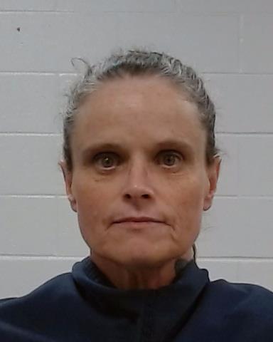 Mugshot of Tonia E Hicks
