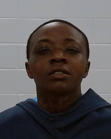 Mugshot of Christina Camille Waller