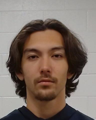 Mugshot of Christopher Lee Barnes