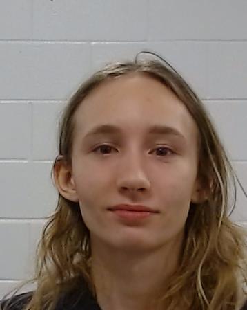 Mugshot of ALEXANDRA VERONICA VERSTEEG
