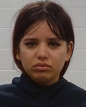 Mugshot of Yuleidis Corina Borges Angulo