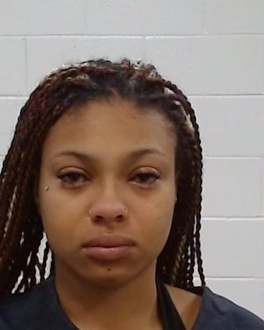 Mugshot of Larisa Michelle Chestnut-Collazo