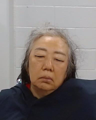 Mugshot of Hey Jin Kim