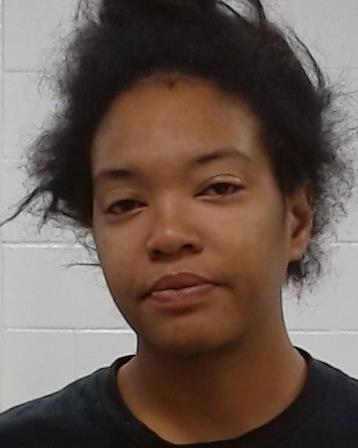 Mugshot of Tivannia Vannia Davis Houston