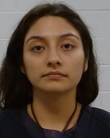 Mugshot of ELIZABETH MELANIE FLORES