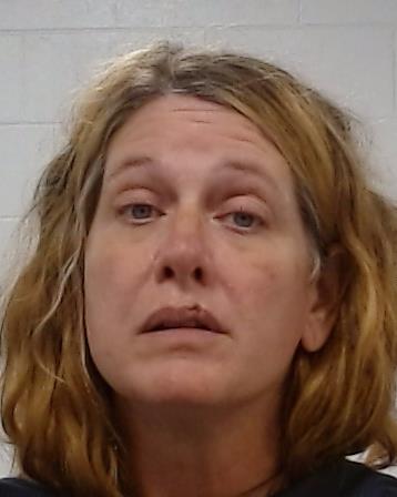 Mugshot of CINDY SUE FITZGERALD