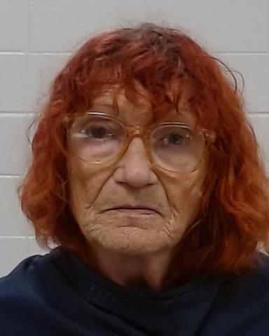 Mugshot of Teresa Pitcock Koprovich