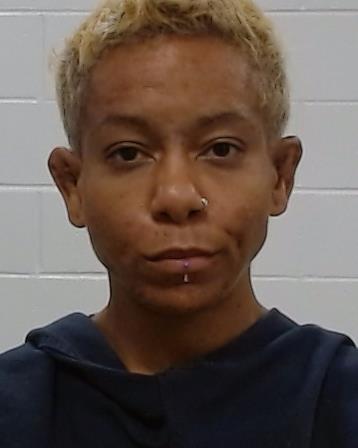 Mugshot of Jamie Marcella Guyrke