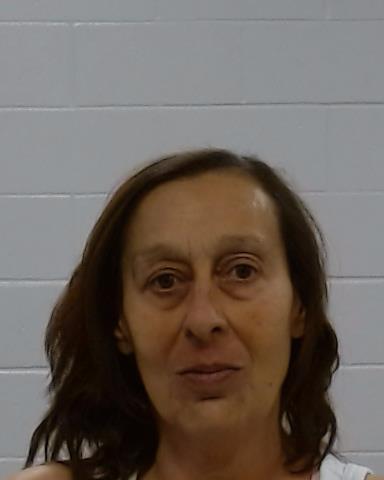 Mugshot of Teresa Evans