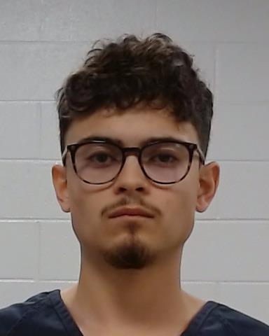 Mugshot of Roman Allen Webb