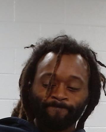 Mugshot of Herraine Parker