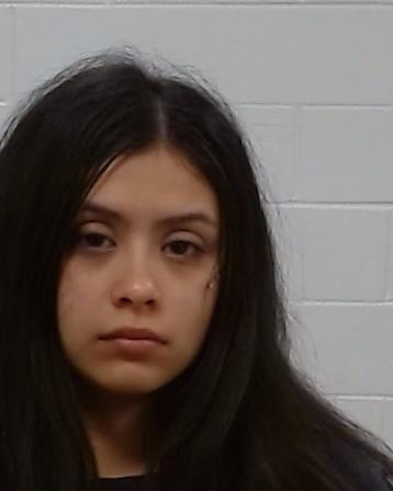 Mugshot of Destiny Katelyn Sosa