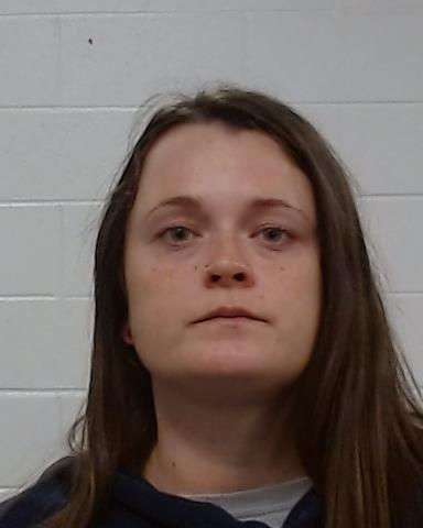 Mugshot of Erica Alyse Shehan
