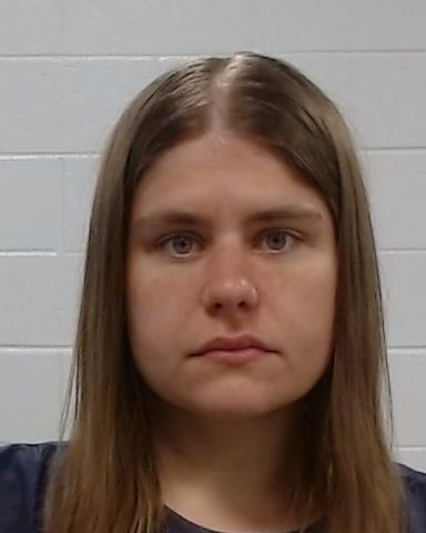 Mugshot of Brooke Serlin