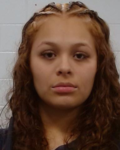 Mugshot of ANDREA ORTEGA