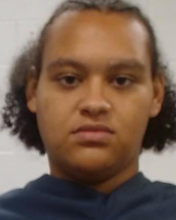 Mugshot of Alyssa Marie Nolen