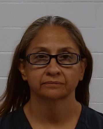 Mugshot of Melissa Ann Didi