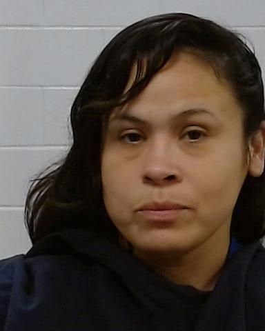 Mugshot of Vanessa Michelle Menchaca