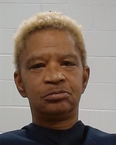 Mugshot of Brenda Kaye Brown