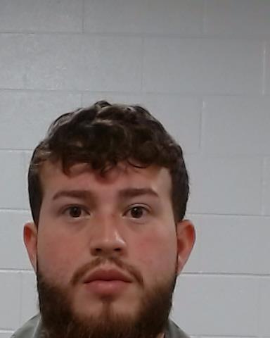 Mugshot of LUIS ALFREDO HERMOCILLA