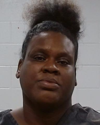 Mugshot of DANIELLE NICOLE DORSEY