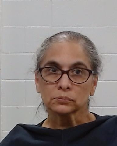 Mugshot of Suzanne Michel Birlew