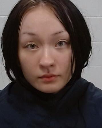 Mugshot of Lynn Truc Vo