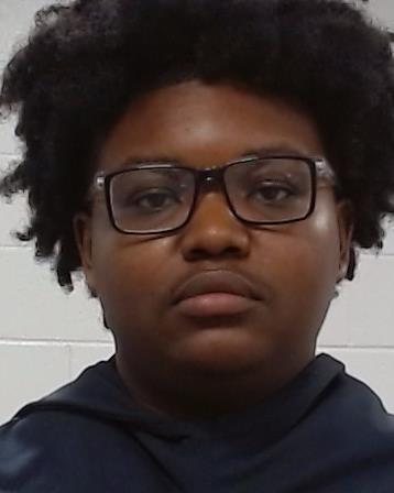 Mugshot of Darius Deandre Holmes