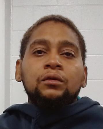 Mugshot of Stevan Lewin