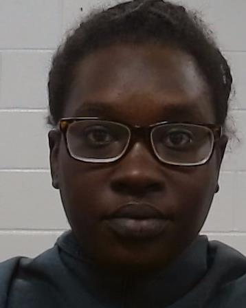 Mugshot of Nyanpal Lul Top
