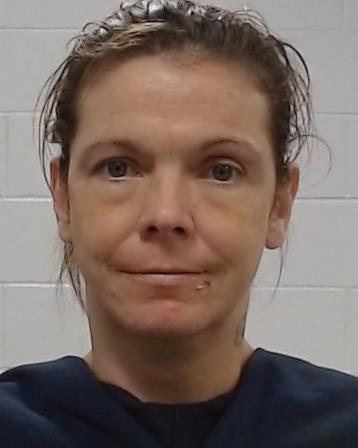 Mugshot of Robin Lee Hunter