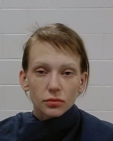 Mugshot of Taylor Nichole James