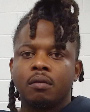 Mugshot of Leon Bircher