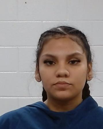 Mugshot of Andrea Vargas