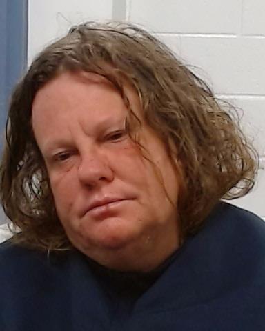 Mugshot of Lisa Dorothy Sheppard