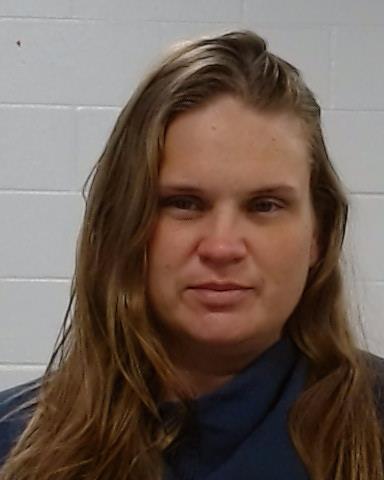 Mugshot of Shelby Leigh Sanders
