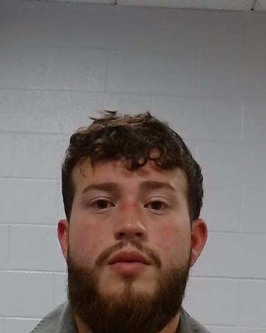 Mugshot of LUIS ALFREDO HERMOCILLA