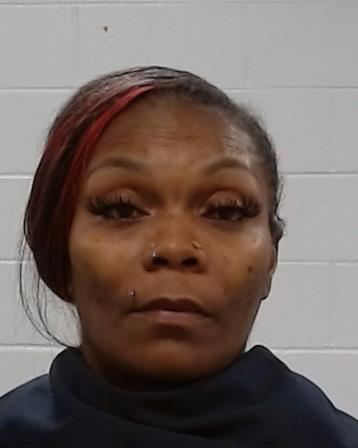 Mugshot of LASHANDA DENISE POLLOCK