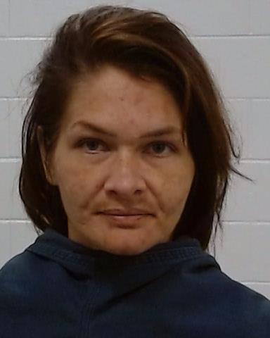 Mugshot of Michaelle Darlene Stinson