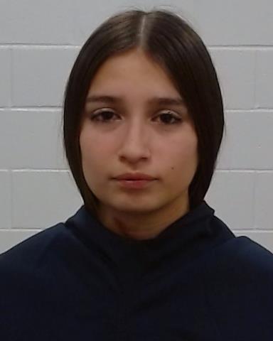 Mugshot of Annaliese Marie Pendolf