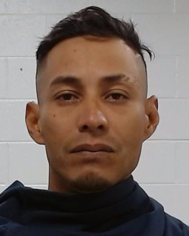 Mugshot of Hirvings Silva