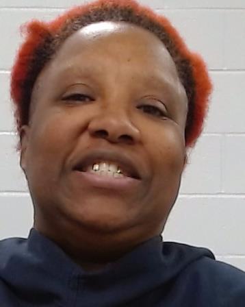 Mugshot of Treva T Perkins